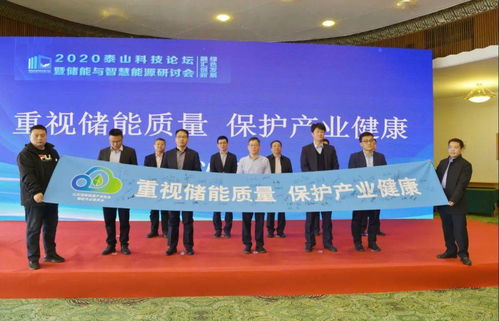 2020泰山科技論壇暨儲(chǔ)能與智慧能源研討會(huì)在濟(jì)南成功舉辦，推動(dòng)能源科學(xué)技術(shù)研究發(fā)展