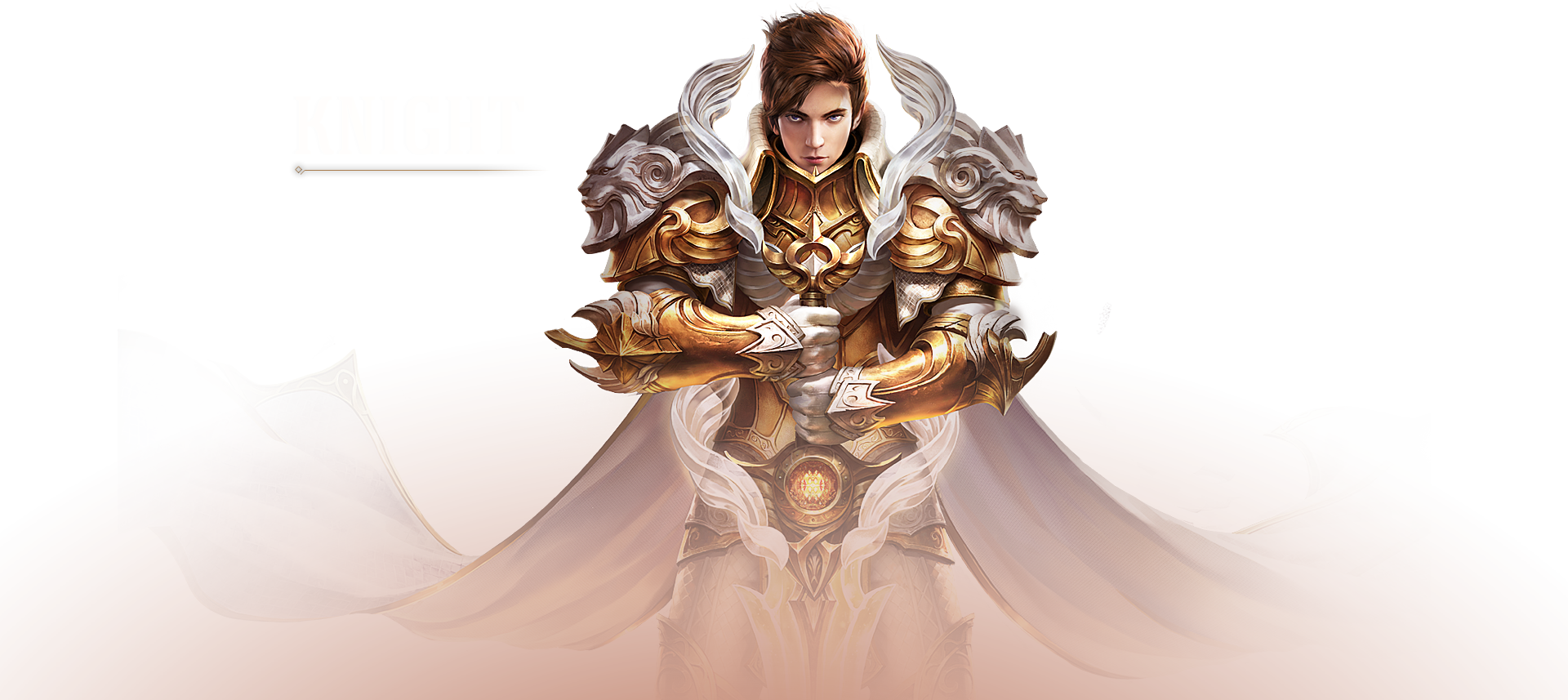 天堂圣骑士：战斗中的光明战士